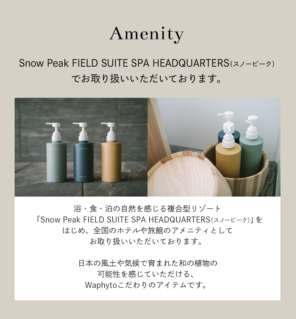 chip　Waphyto Conditioner bigボトル　2本セット chip Waphyto Conditioner bigボトル 2本セット Waphyto