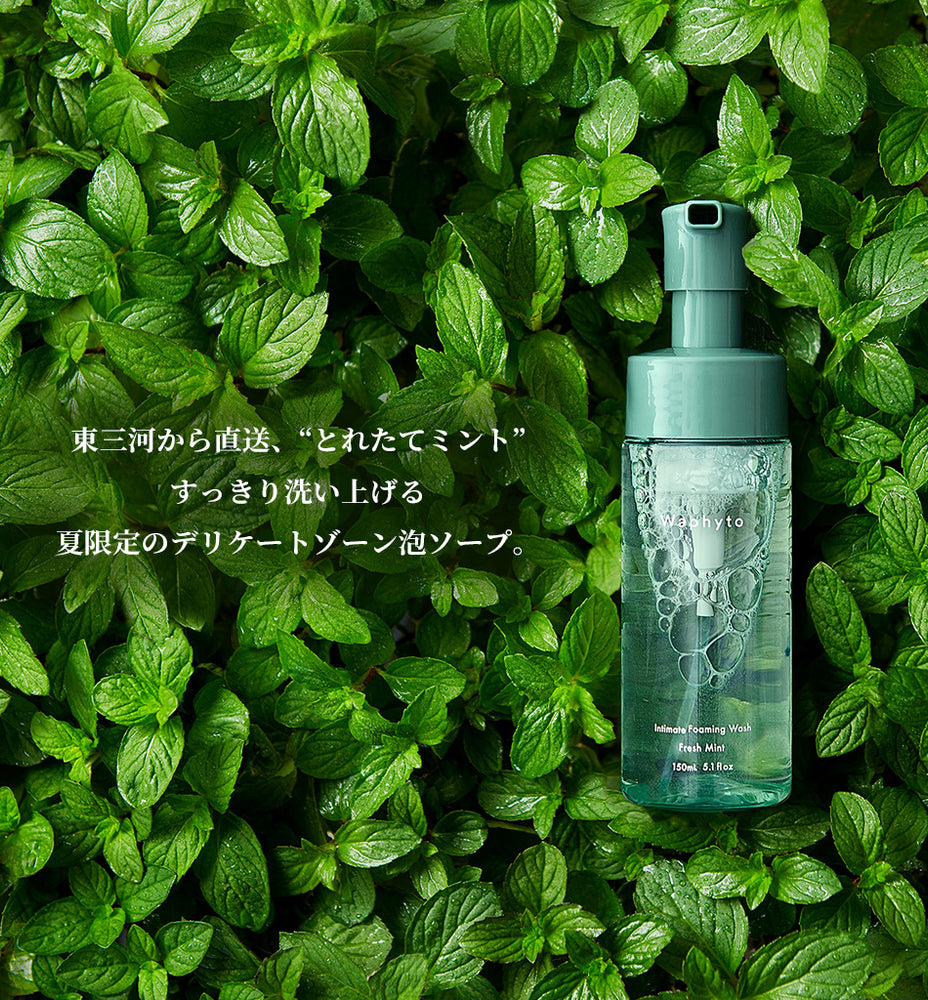 フレッシュミント保湿ケアキット – Waphyto online store