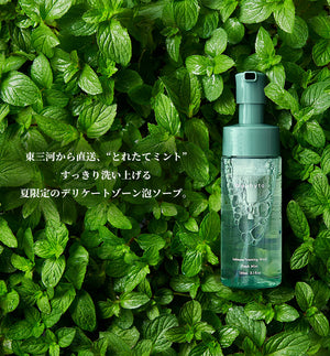 フレッシュミント3本セット – Waphyto online store