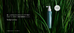 Waphyto online store