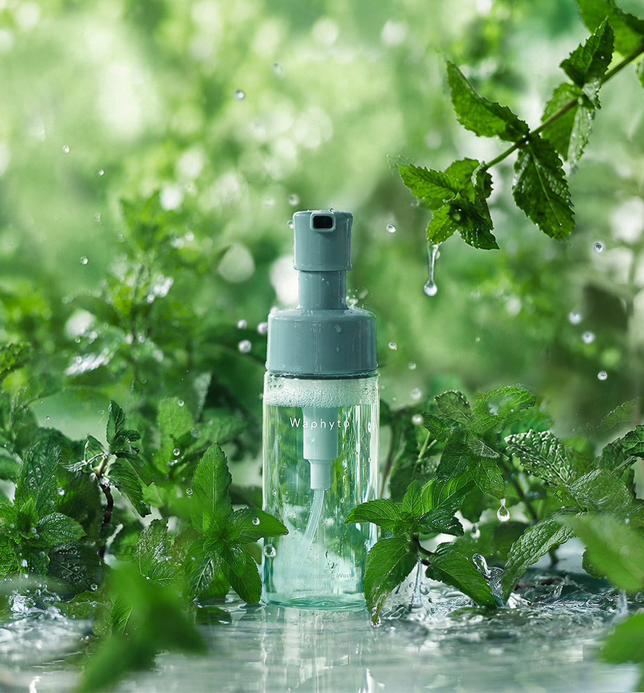 新品未使用品　Waphyto 化粧水・乳液 2点セット スキンケア Waphyto – Waphyto online store