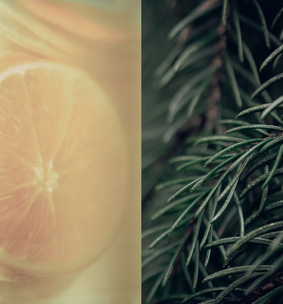 
                  
                    ディフューザー詰替用 マンダリン＆シダーウッド
                  
                