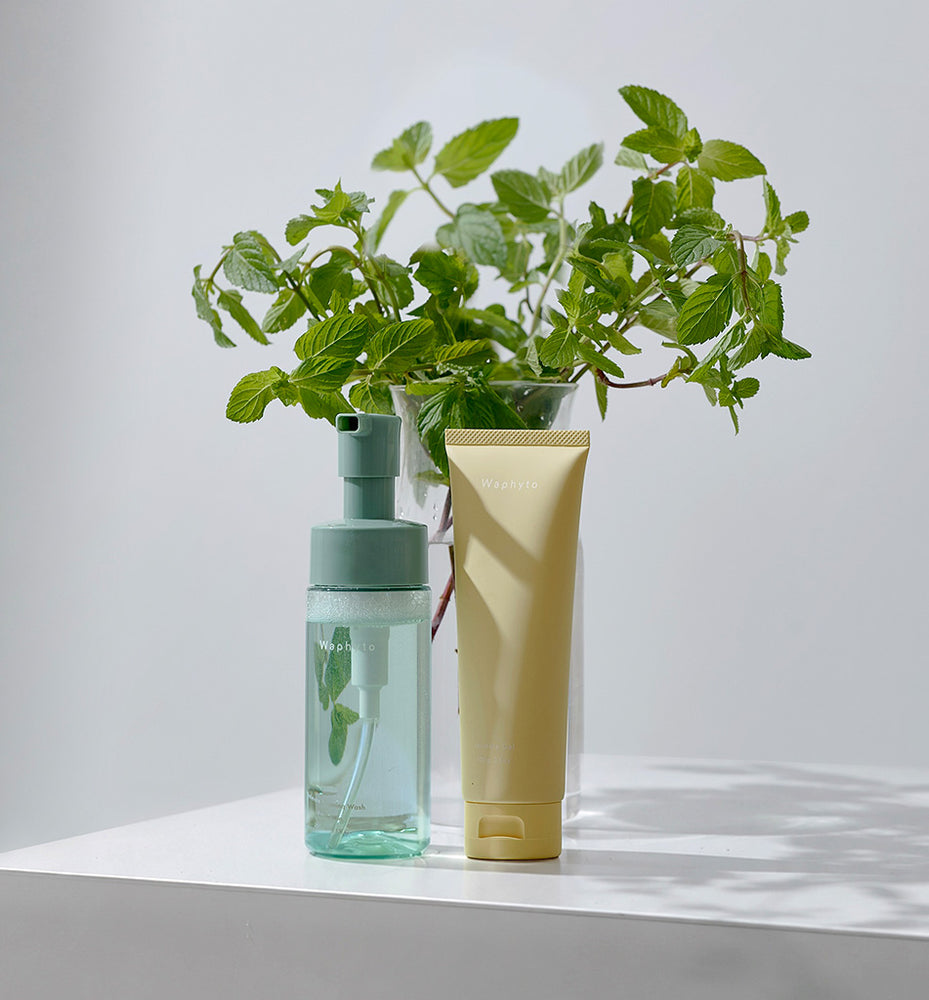 新商品・限定商品 – Waphyto online store