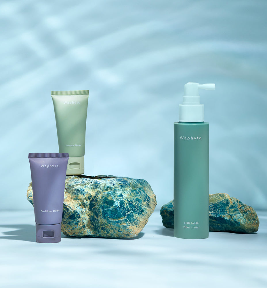 新品未使用品　Waphyto 化粧水・乳液 2点セット スキンケア 新商品・限定商品 – Waphyto online store